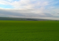 Champs à Maisons-en-Champagne