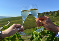 Flutes de Champagne au milieu des vignes